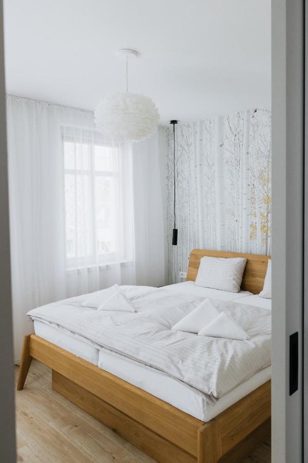 U Zlate Brizy Krusne Hory - Erzgebirge Apartment Horni Blatna Exterior photo