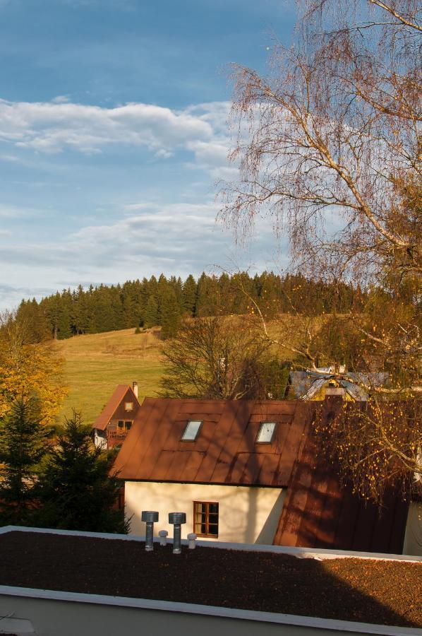 U Zlate Brizy Krusne Hory - Erzgebirge Apartment Horni Blatna Exterior photo